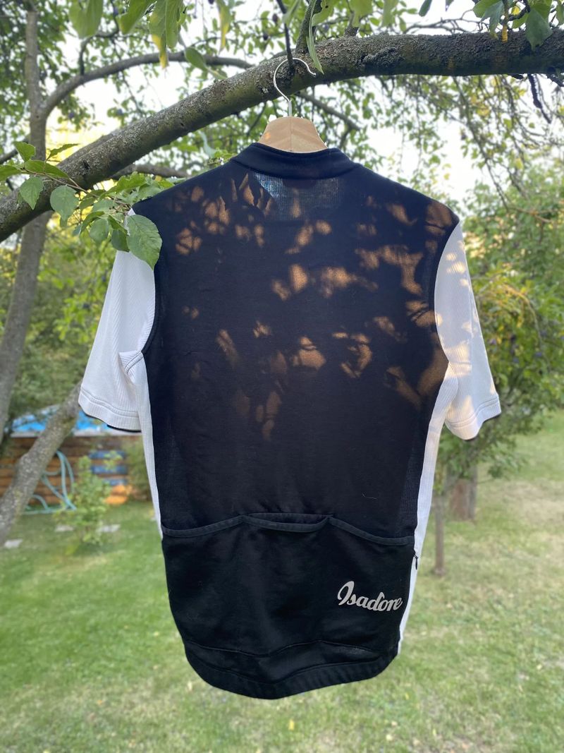 Isadore Signature Merino