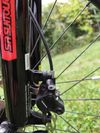 Cannondale Trail