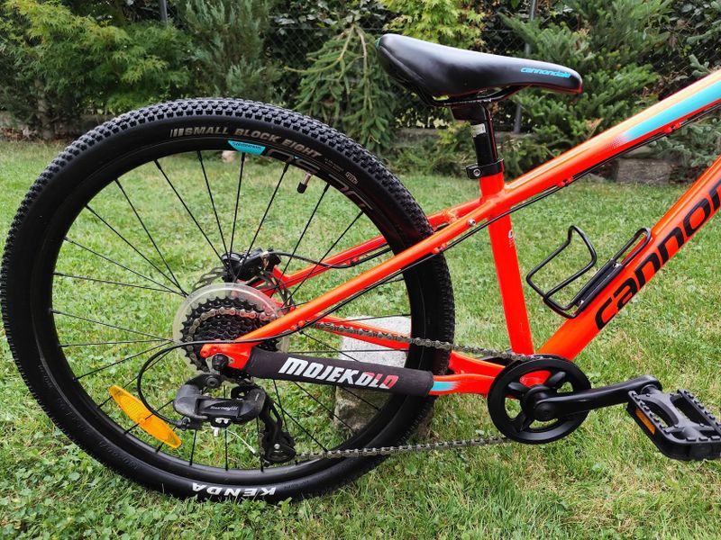 Cannondale Trail