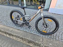 Scott Roxter 24 