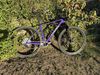 Canyon Exceed CFR, Sram AXS, DT Swiss
