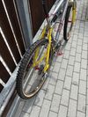 Rocky Mountain Element 1996, XTR, Syncros, Hügi, L 19”