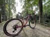 THRUST 29” carbon
