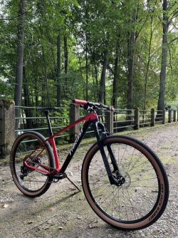 THRUST 29” carbon