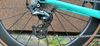 Bianchi 