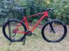 Specialized Rockhopper 29" XL