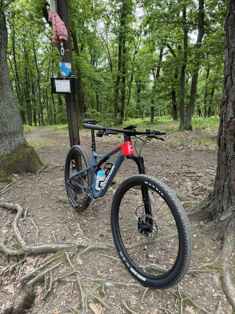Cannondale SCALPEL 2 LEFTY
