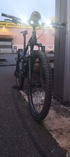 Mongoose