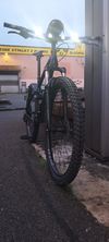 Mongoose