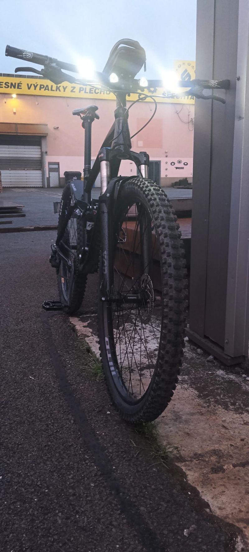 Mongoose