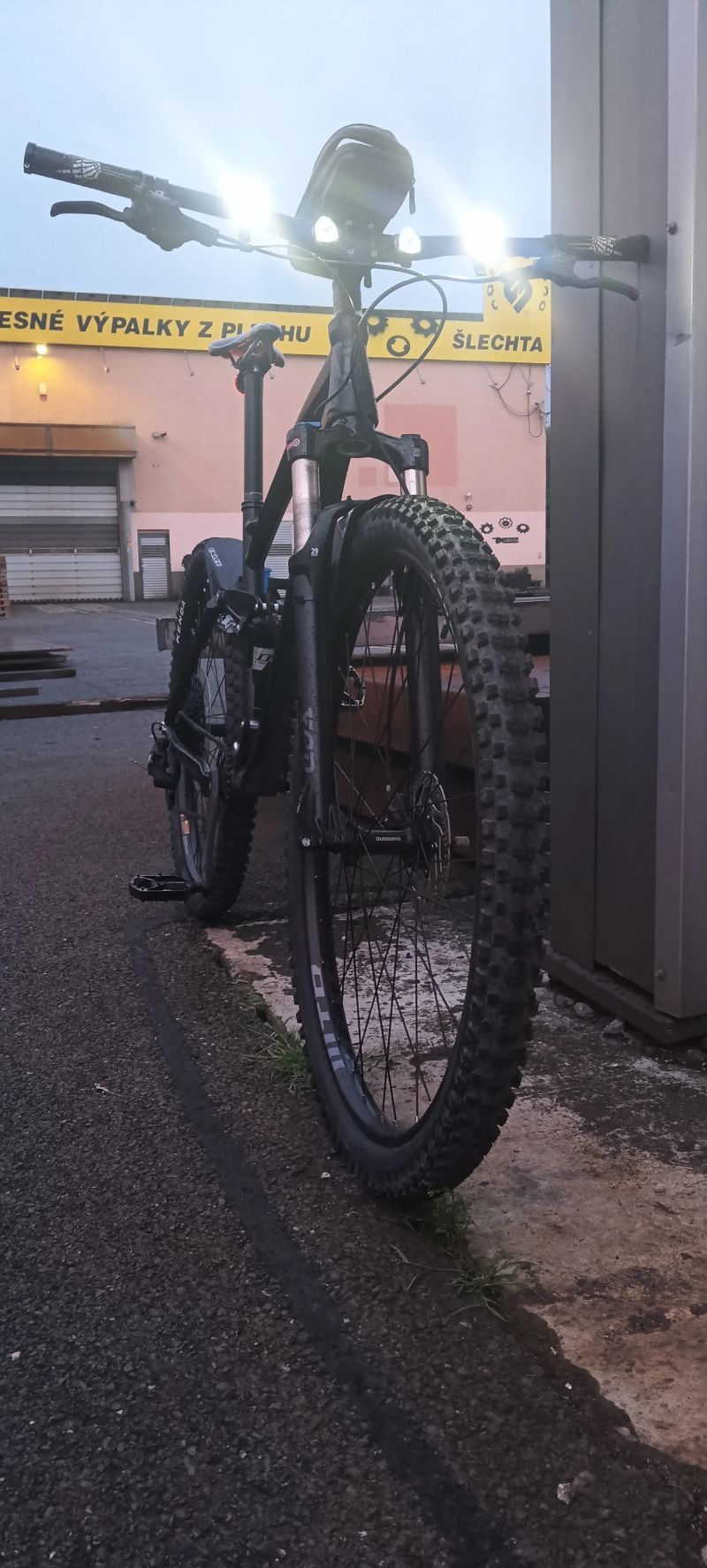 Mongoose