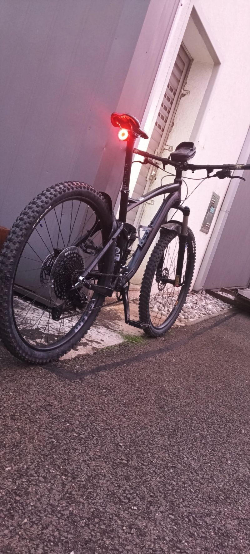 Mongoose