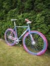 Festka Cinelli