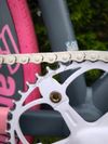 Festka Cinelli