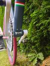Festka Cinelli