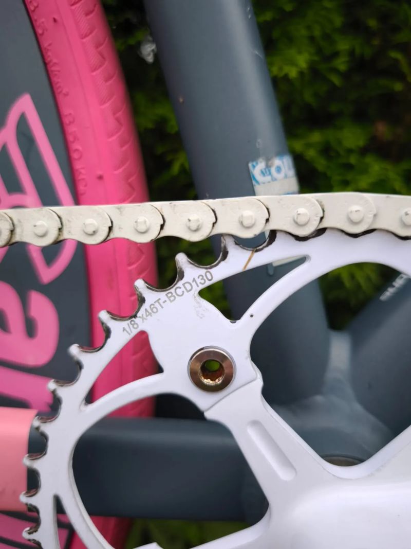 Festka Cinelli