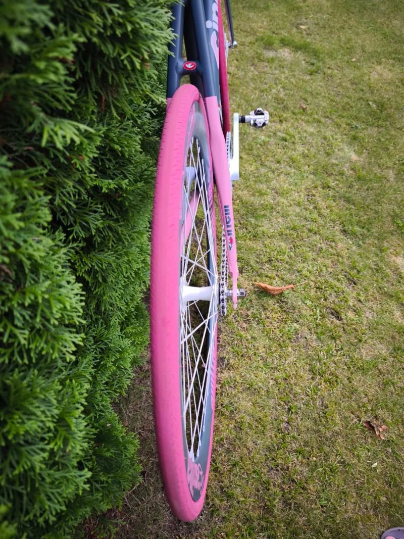 Festka Cinelli