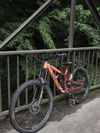 Canyon Spectral 6