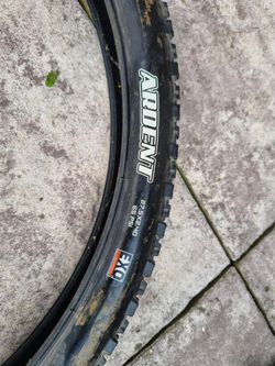 Maxxis Ardent EXO 2,4 přední i zadní