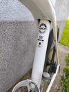 Trek Domane SL 5