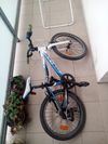 Rock Machine Surge XCFUNSeries