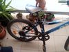 Rock Machine Surge XCFUNSeries