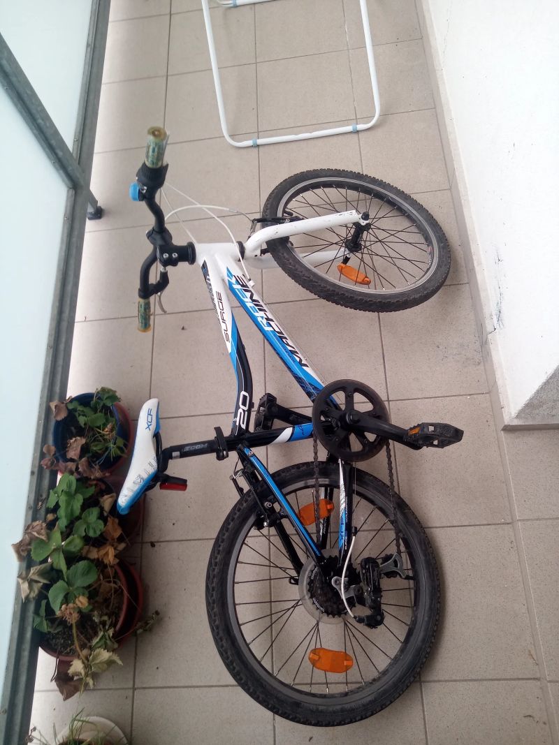 Rock Machine Surge XCFUNSeries