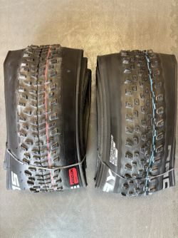 Schwalbe 