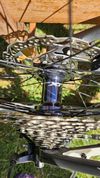 Canyon Exceed 6 CF SL 6.0