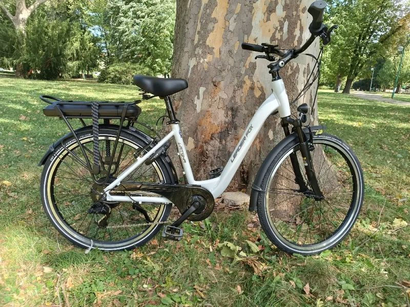 Leader Fox Latona 26"