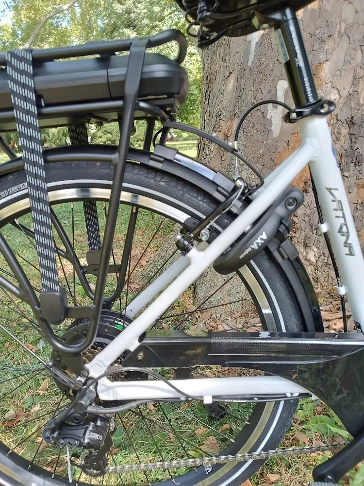 Leader Fox Latona 26"
