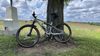 Canyon Lux Trail CF 6