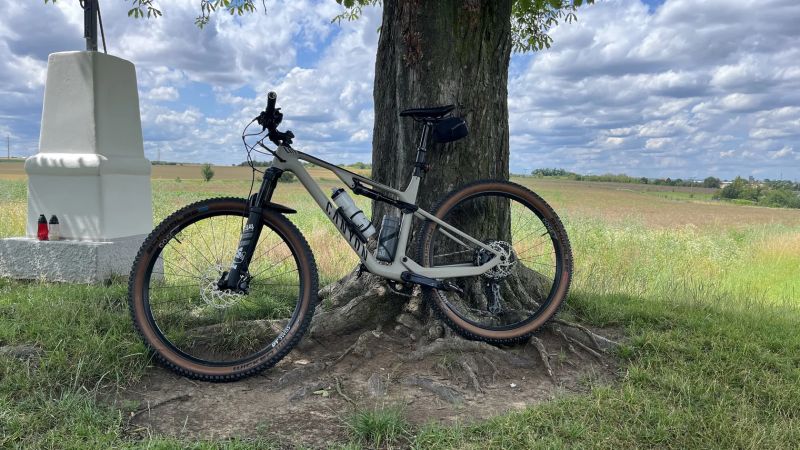 Canyon Lux Trail CF 6