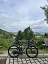 Giant Advanced TCR Carbon