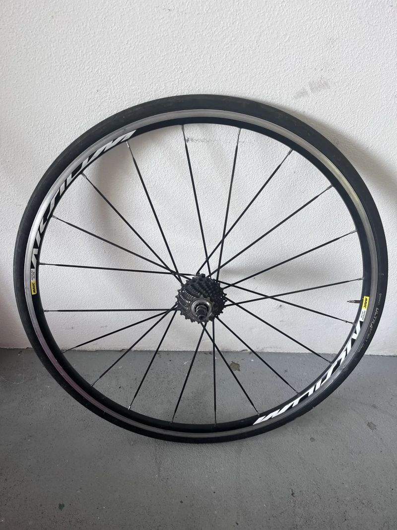 Merida Scultura Sl