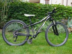 Cannondale Trail 24