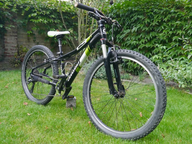 Cannondale Trail 24