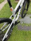 Canyon Spectral 6 2024
