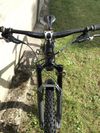 Santa Cruz Bronson