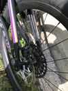 Santa Cruz Bronson