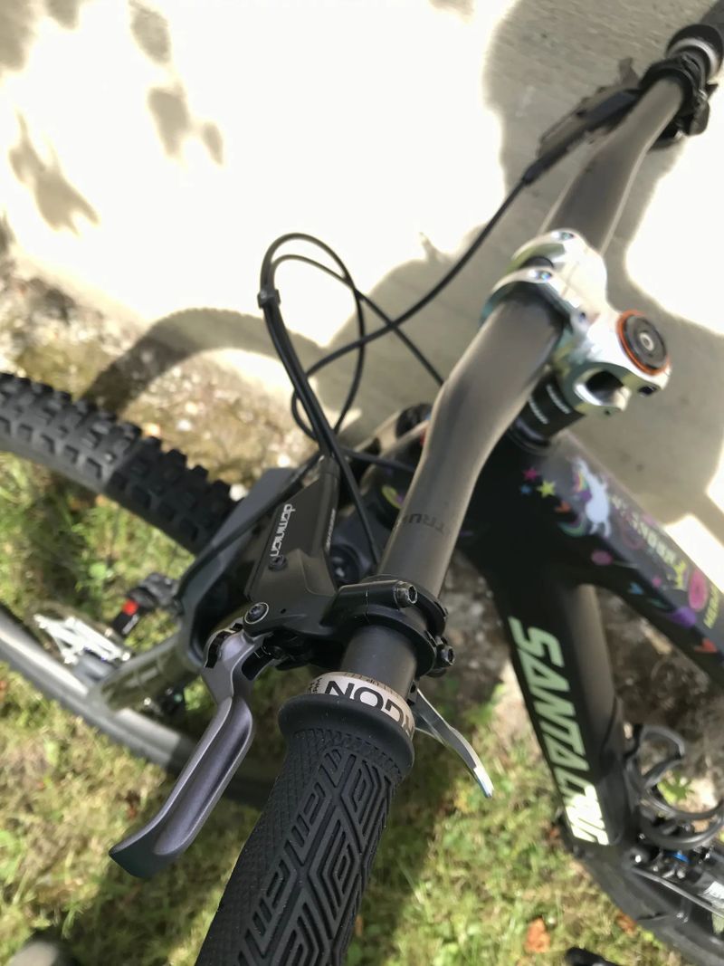 Santa Cruz Bronson