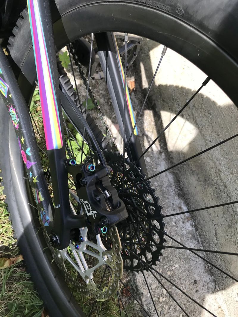 Santa Cruz Bronson