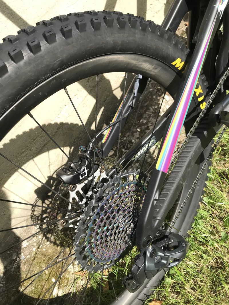 Santa Cruz Bronson