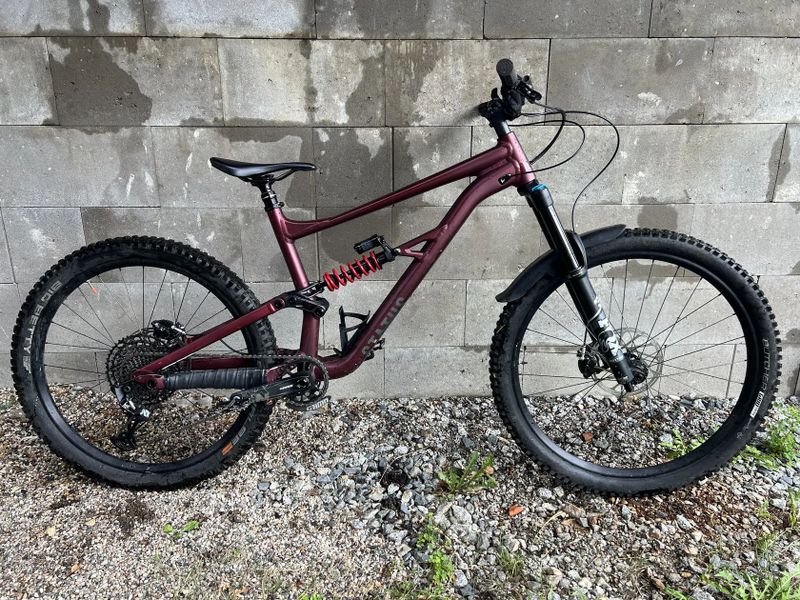 Specialized Status 160