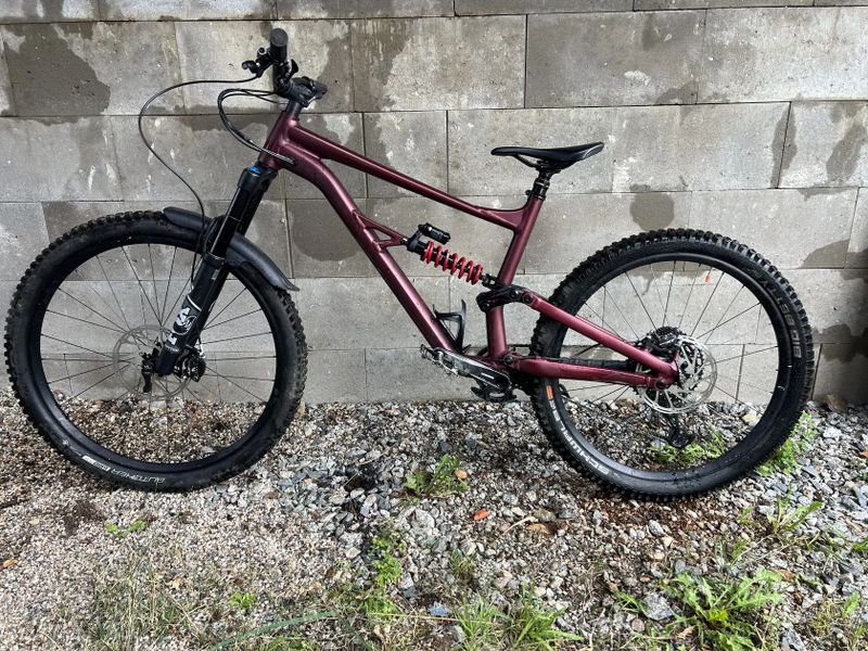 Specialized Status 160