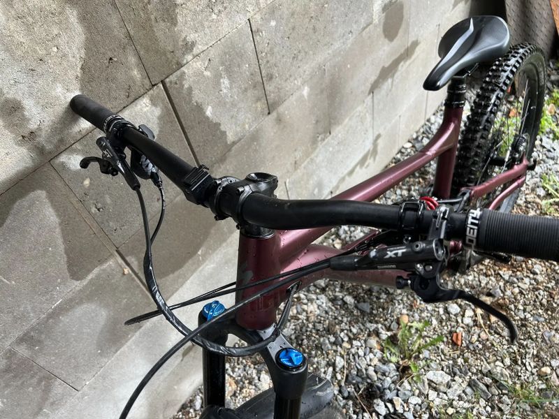 Specialized Status 160