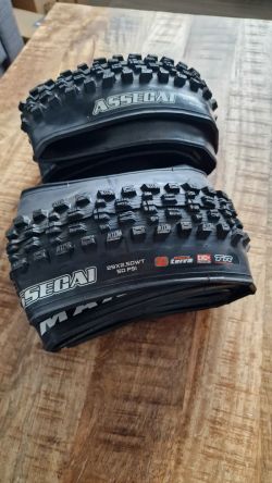 2x Maxxis Assegai 29x2,50WT 3C MaxxTerra EXO+