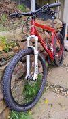 RB CRR 29 3xl - team