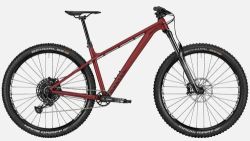 Canyon Stoic 3 - Trail/Enduro