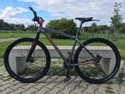 Felt nine80 29''